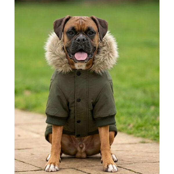 Dog’s parka jacket Thumbnail