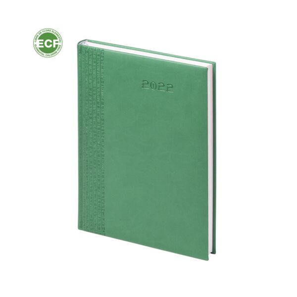 Toulouse Diary Thumbnail