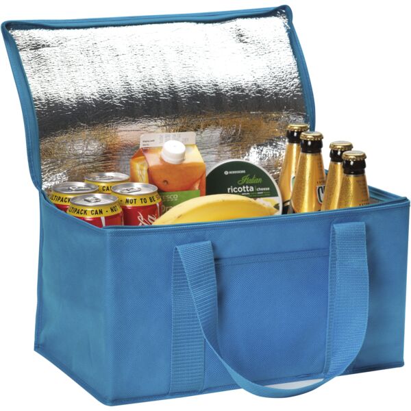 Rainham 12 Can Cooler Bag. Thumbnail