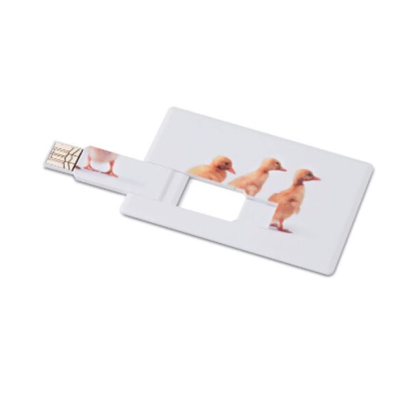 Creditcard. USB flash     4GB  MO1059-06 Thumbnail