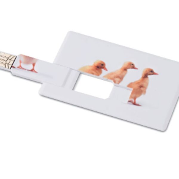 Creditcard. USB flash     4GB  MO1059-06 Thumbnail