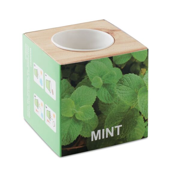Herb pot wood "MINT" Thumbnail