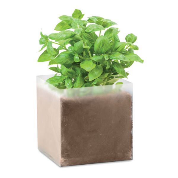 Compost with seeds "BASIL" Thumbnail