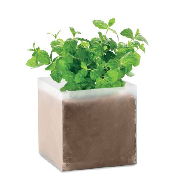 Compost with seeds "MINT" Thumbnail
