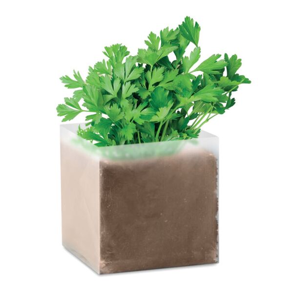 Compost with seeds "PARSLEY" Thumbnail