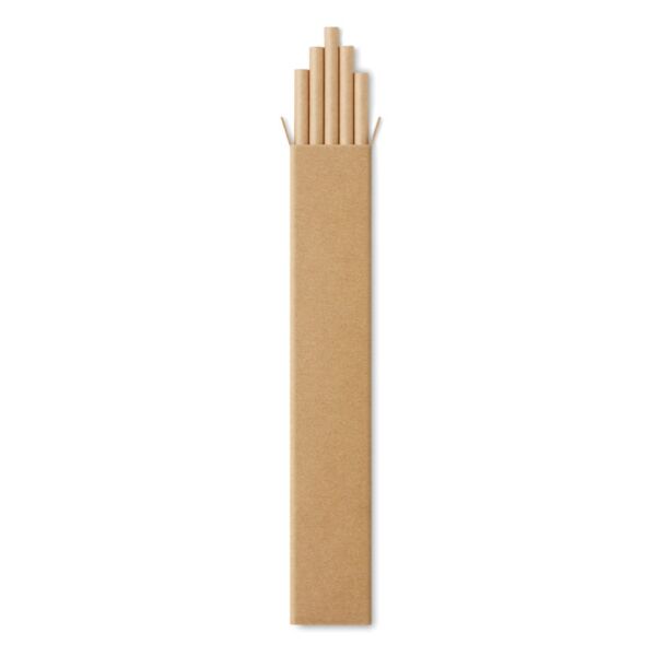 10 paper straws in Kraft box Thumbnail