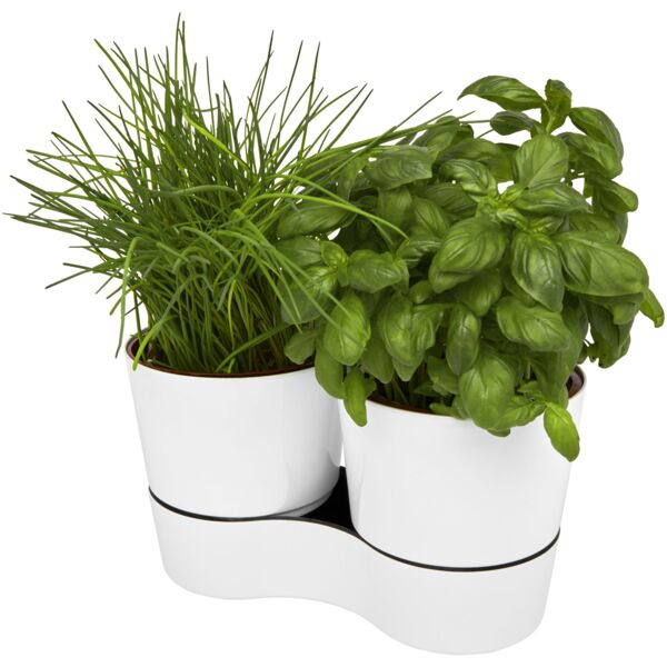Herbs twin kitchen pot Thumbnail