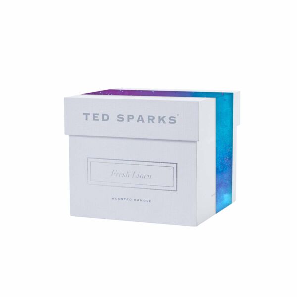 Sleeve for Ted Sparks Demi Thumbnail