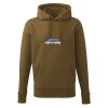 Men's Anthem hoodie Thumbnail