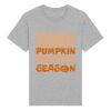 Rocker the essential unisex t-shirt (STTU758) Thumbnail