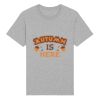 Rocker the essential unisex t-shirt (STTU758) Thumbnail