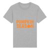 Rocker the essential unisex t-shirt (STTU758) Thumbnail