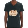 Stanley Presenter v-neck t-shirt (STTM562) Thumbnail